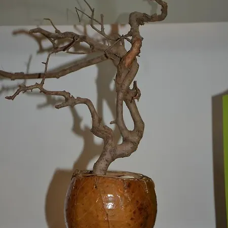 L'appartamento Di Bonelli Рим