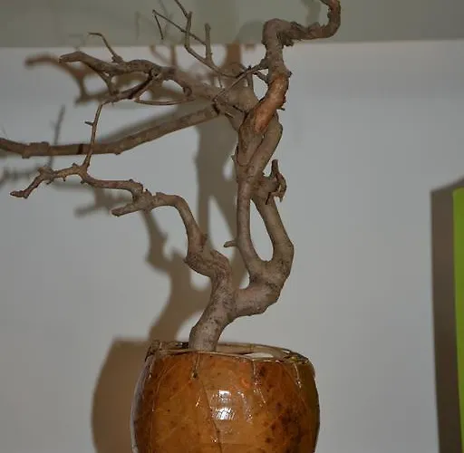 L'appartamento Di Bonelli Roma