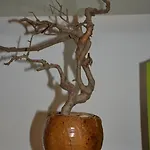 L'appartamento Di Bonelli Roma
